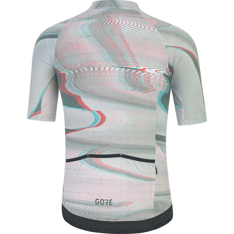 GORE WEAR Chase Jersey /multicolor