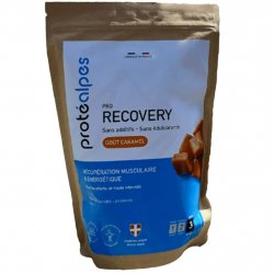 Buy PROTEALPES ProRecovery 800 g /caramel