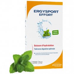Buy ERGYSPORT Effort 6 sticks /menthe